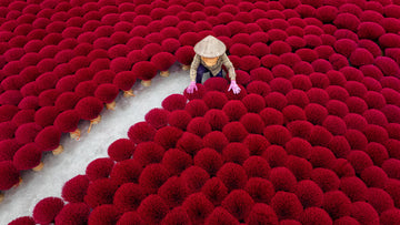Vibrant Vietnam