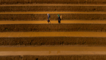 Journey