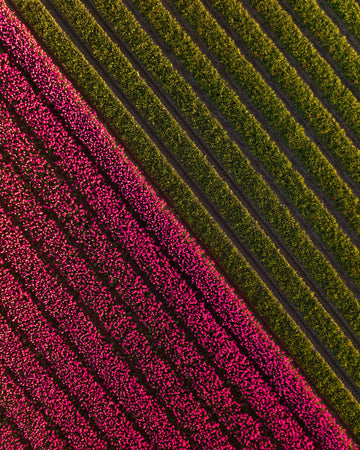 DJI_0522-2